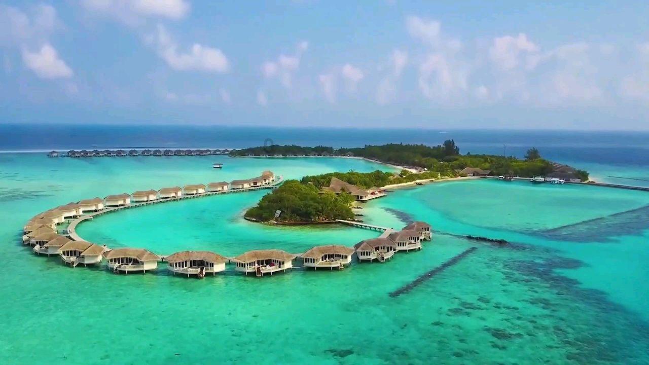 网上同价格买的玉,怎么差距这么大,不管那么多,问下识货的两个会是上色人工玉吗?-专业问答平台,诸多疑问一网打尽